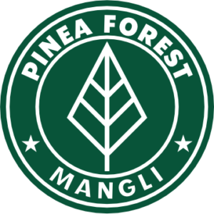 pinea forest
