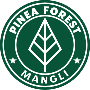 pinea forest